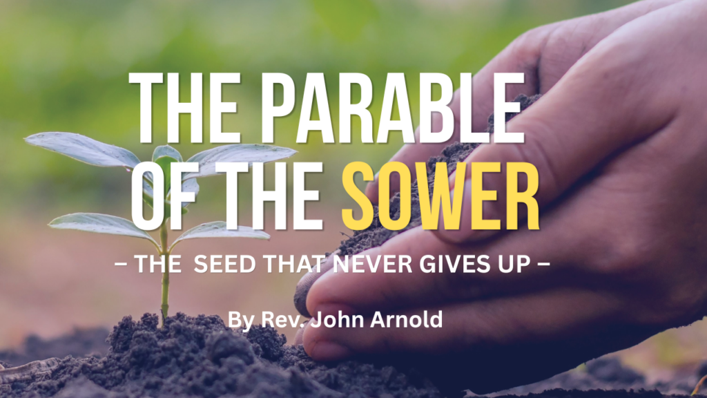 The Parable of the Sower – The Seed that Never Gives Up